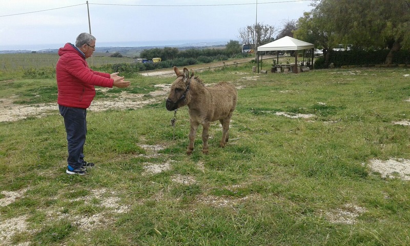 Sicilia nord occidentale 1-8 Aprile 2017